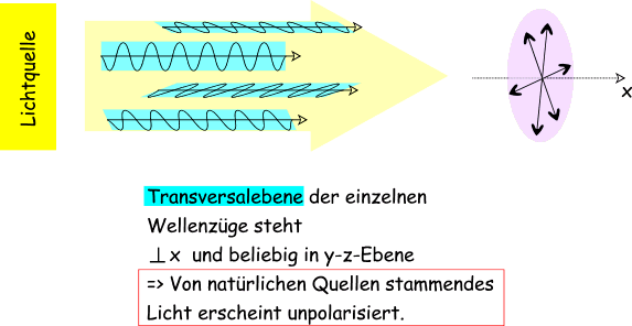 Polarisiertes Licht