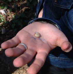 Vergr��erung 40 kB