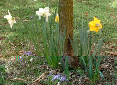 Vergr��erung 150 kB