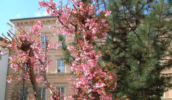 Vergr��erung 190 kB