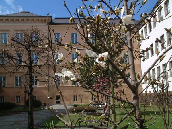 Vergr��erung 190 kB